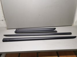 Honda Civic Rivestimento della portiera anteriore (modanatura) 75322S6D