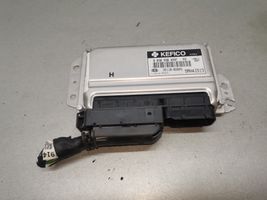 KIA Picanto Sterownik / Moduł ECU 3911002045