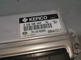 KIA Picanto Sterownik / Moduł ECU 3911002045