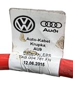 Audi RS6 C7 Pliusinis laidas (akumuliatoriaus) 4G0971225G