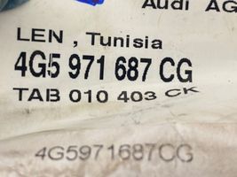 Audi RS6 C7 Takaoven johtosarja 4G5971687CG