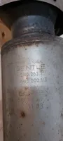 Bentley Continental Filtro de partículas del catalizador/FAP/DPF 3W0178AA