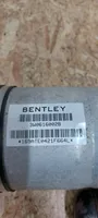 Bentley Continental Air suspension rear shock absorber 3W0616002B