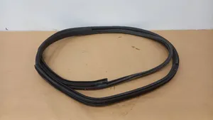 BMW i3 Front door rubber seal 7301741