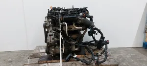 KIA Sportage Moottori D4HA