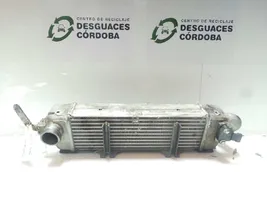 Tata Indigo I Chłodnica powietrza doładowującego / Intercooler 