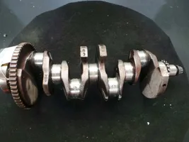 Seat Leon (1M) Crankshaft 