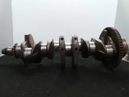 Seat Leon (1M) Crankshaft 