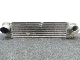 Tata Indigo I Radiatore intercooler 