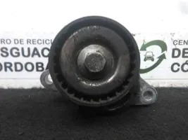 Renault Clio II Napinacz paska alternatora 