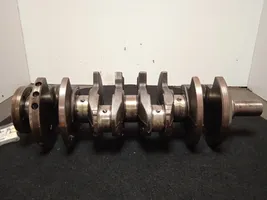 Citroen Saxo Crankshaft J29