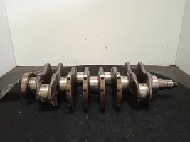 Fiat Grande Punto Crankshaft 