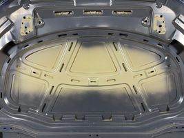 Volkswagen Arteon Pokrywa przednia / Maska silnika 