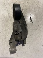 Volkswagen Touran I Napinacz paska alternatora 487000