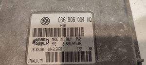 Volkswagen Polo Sterownik / Moduł ECU 036906034AQ