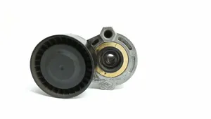 Renault Megane III Napinacz paska alternatora 