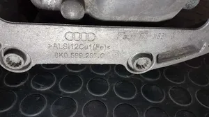 Audi A6 S6 C7 4G Galinis reduktorius 