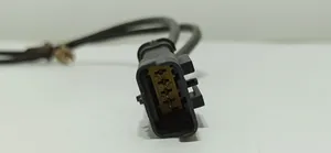 Citroen Jumpy Sensore di temperatura dei gas di scarico 