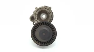 BMW X3 E83 Tendicinghia generatore/alternatore 