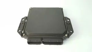 Nissan Pathfinder R51 Unité de commande, module ECU de moteur MB2758004737