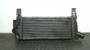 Nissan Pathfinder R51 Radiatore intercooler 