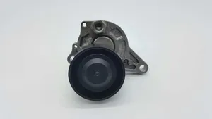 Renault Megane III Generator/alternator belt tensioner 