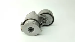 Renault Megane III Napinacz paska alternatora 9053284628