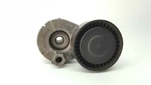 Renault Kangoo I Generator/alternator belt tensioner 