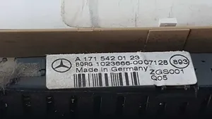 Mercedes-Benz ML W164 Garniture de console d'éclairage de ciel de toit A17154201238K67