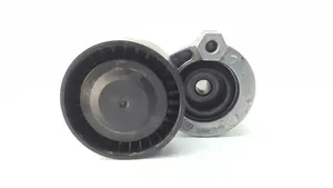 Renault Clio IV Napinacz paska alternatora 117501113R