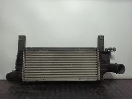 Nissan Pathfinder R51 Radiatore intercooler 14461-EB360