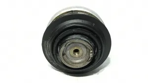 Mercedes-Benz S W221 Dzinēja spilvens 2112400517