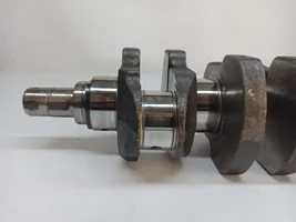 Toyota RAV 4 (XA20) Crankshaft 