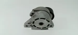 Volkswagen Tiguan Napinacz paska alternatora 04L903315K