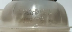 Mercedes-Benz S W222 Serbatoio di compensazione del liquido refrigerante/vaschetta A2225000549
