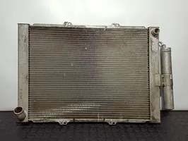 Renault Kangoo I Dzesēšanas šķidruma radiators 8200267994