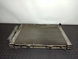 Renault Kangoo I Dzesēšanas šķidruma radiators 8200267994