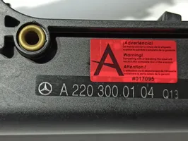 Mercedes-Benz S W220 Akceleratoriaus pedalas 