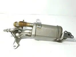 Nissan Juke I F15 EGR valve cooler 