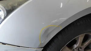 Chevrolet Cruze Fender 