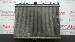 Peugeot Expert Dzesēšanas šķidruma radiators 133368