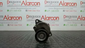 Citroen C5 Diržo įtempėjas 9805244980