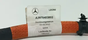 Mercedes-Benz EQS V297 Other wiring loom 