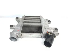 Nissan Patrol Y61 Radiatore intercooler 14461VC106