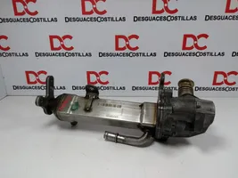 Volvo S60 Refrigerador de la válvula EGR 30637142