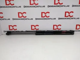 KIA Ceed Tailgate/trunk strut/damper 81781J7000