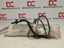 Volkswagen Tiguan Poduszka powietrzna Airbag drzwi przednich 5N0880241A