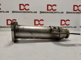 Citroen C4 Grand Picasso EGR aušintuvas 9645689780