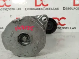 Seat Alhambra (Mk1) Tendicinghia generatore/alternatore 028903308G