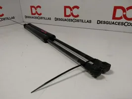 BMW 1 E82 E88 Tailgate/trunk strut/damper 51247060622